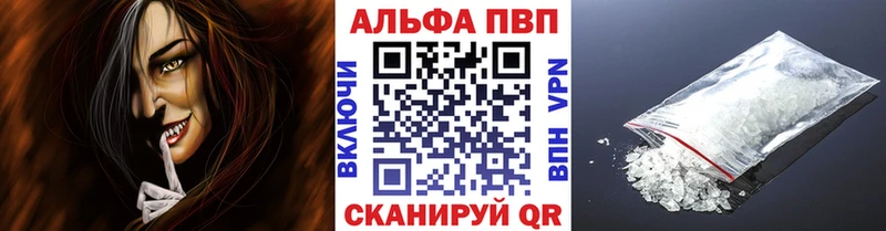 Альфа ПВП СК КРИС  Плёс 