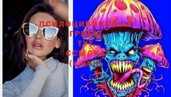 молекула духа Беломорск