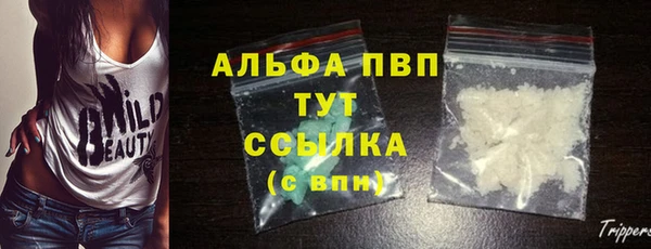 молекула духа Беломорск